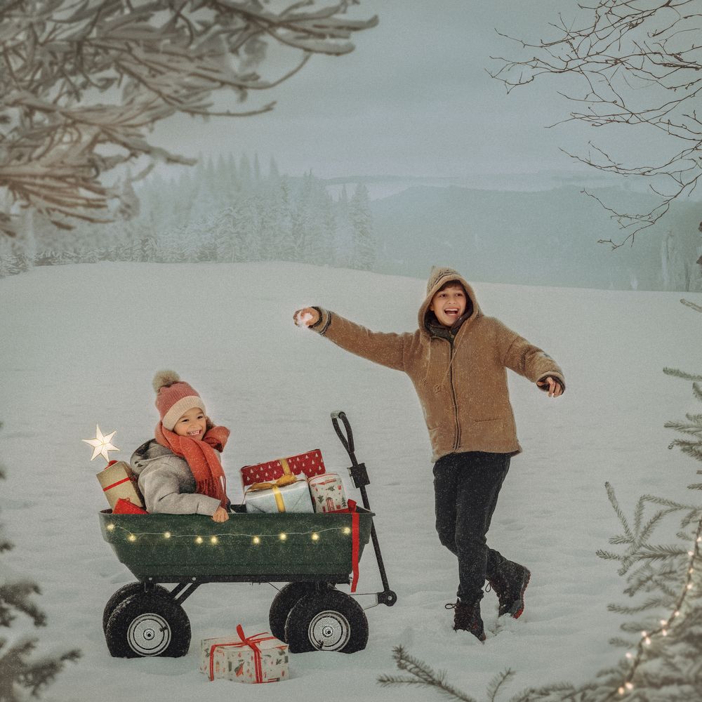 Hermanos en la Nieve