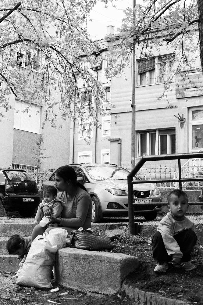 Фотография автора Miloš “Topi” Miladinović