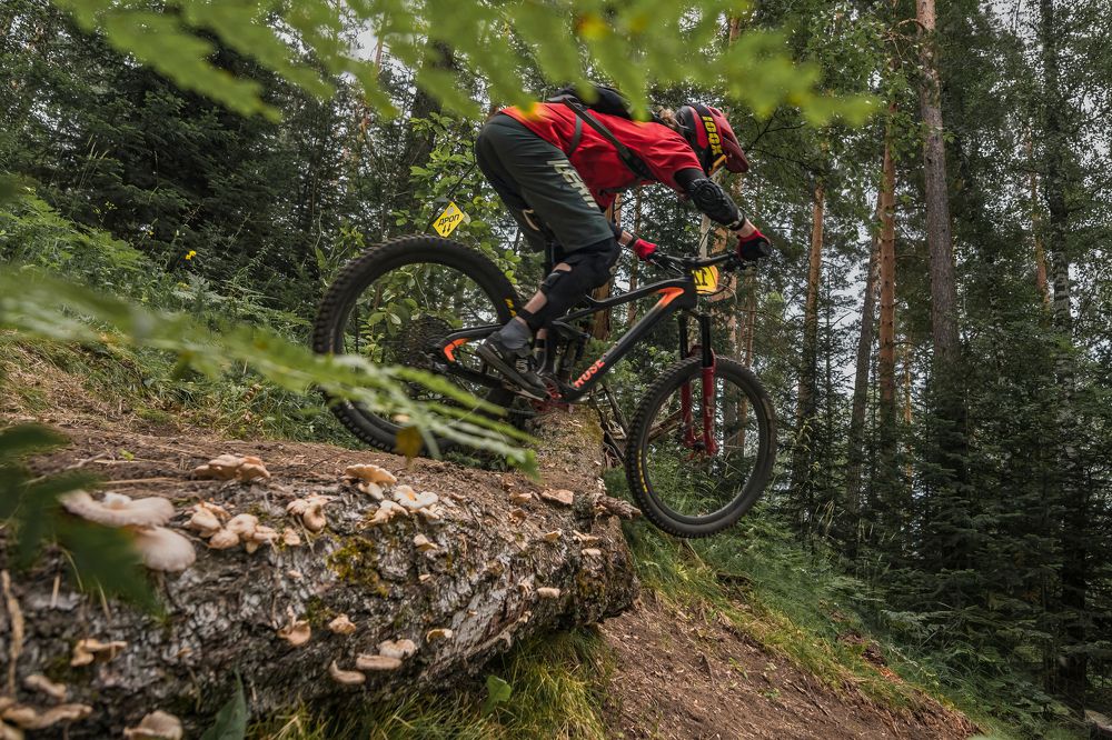 Photograph by Jopka27