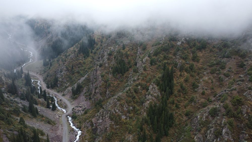 Photograph by Дмитрий Балеевских