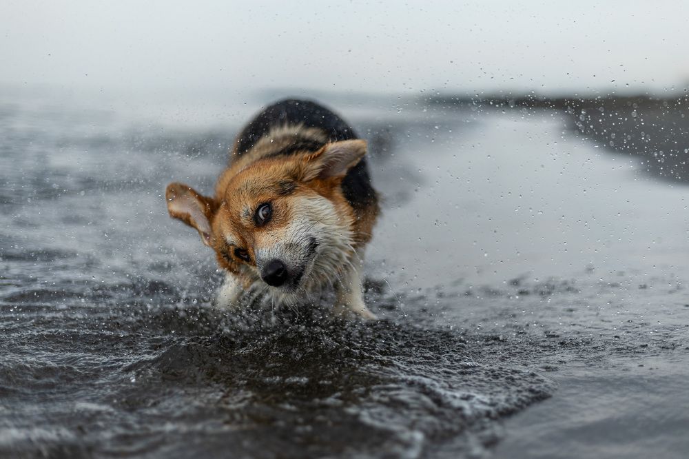 Photograph by Анна Сорокина