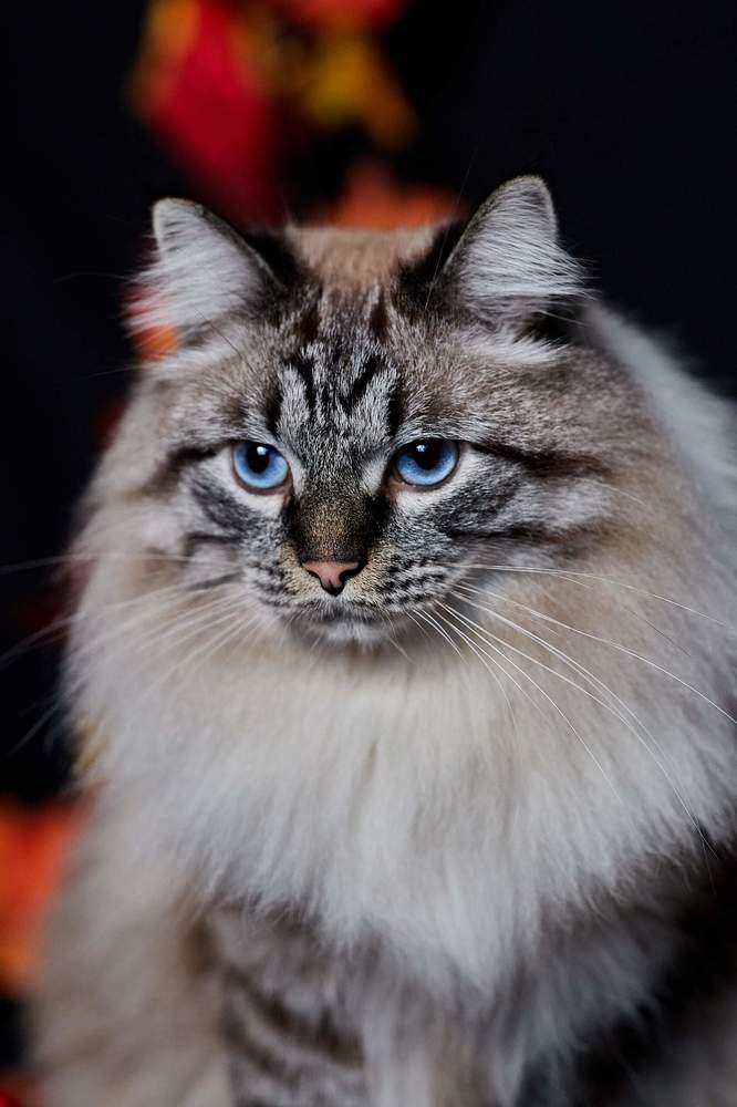 Photograph by Юлия Орлова