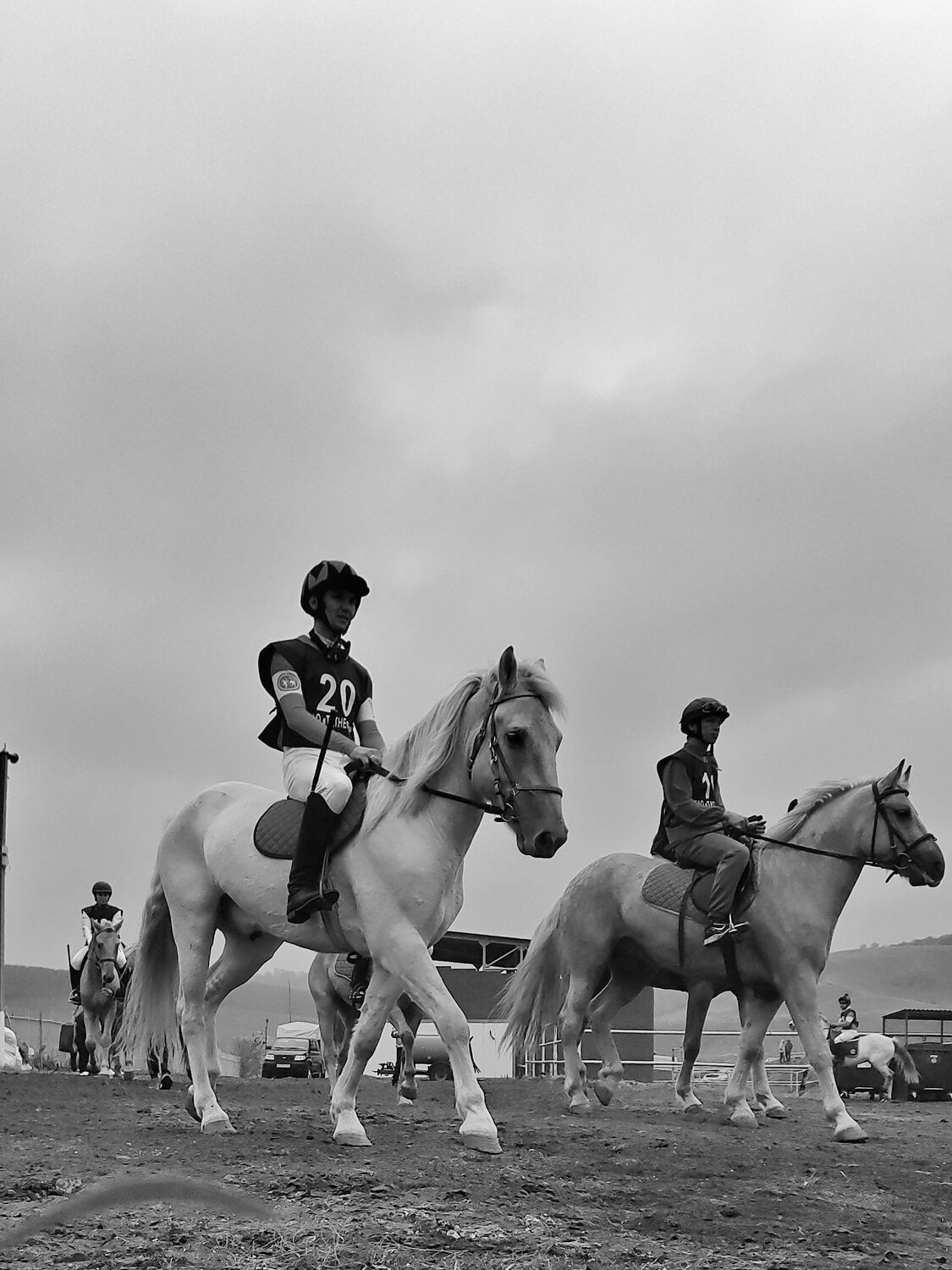 Photo #9970917