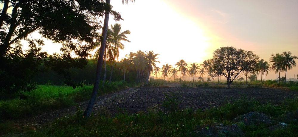 Photo #9970919