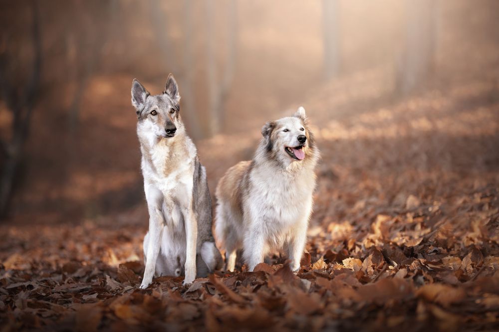 Фотография автора Ana Sánchez