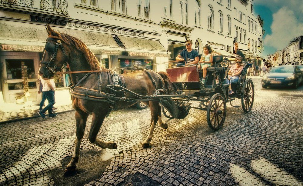 Фотография автора Александр