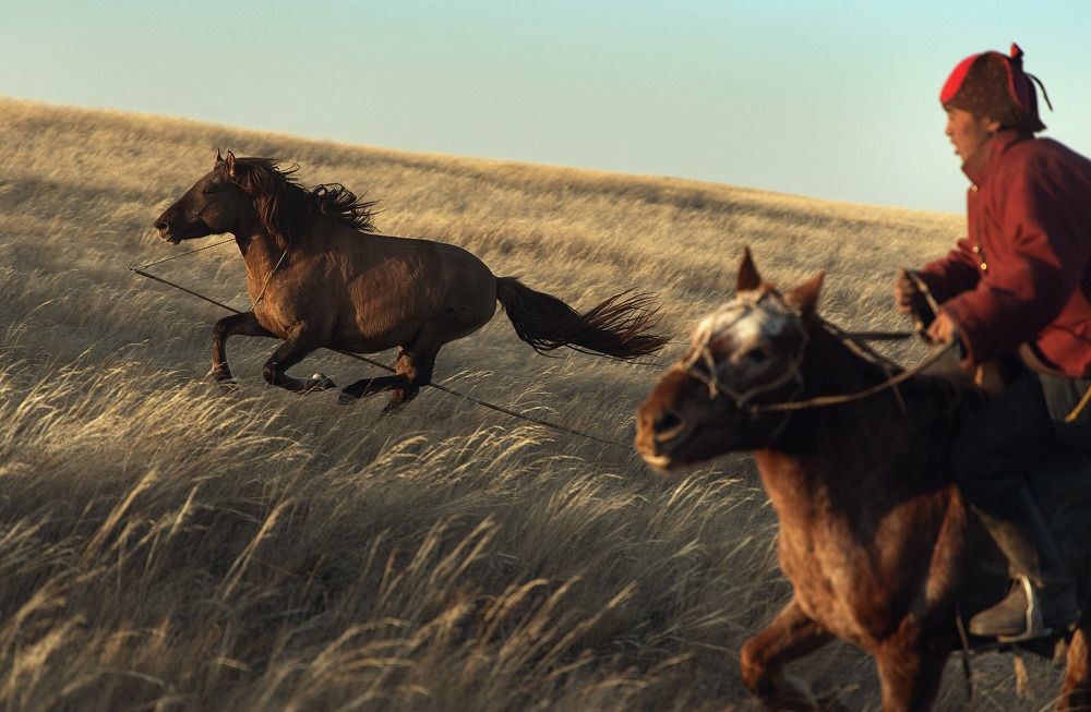 Photograph by ganzorig miimaa