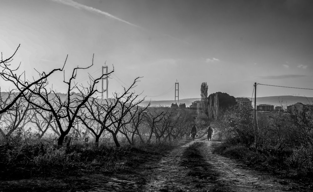 Photograph by MEHMET KAYNAR