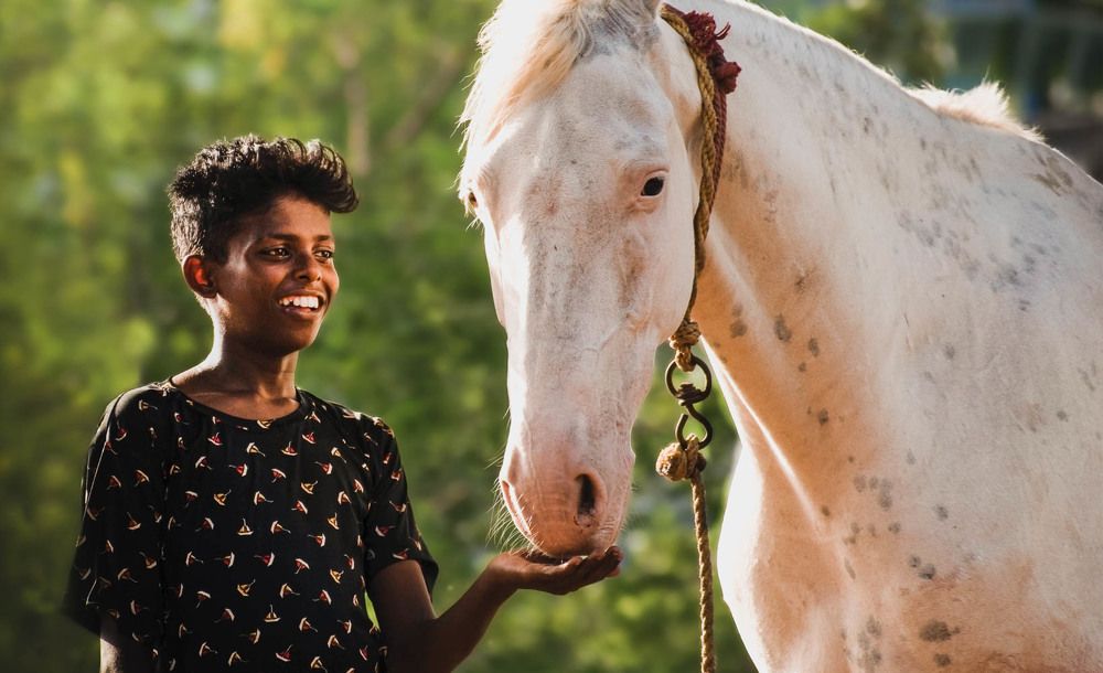 Photograph by Harina A