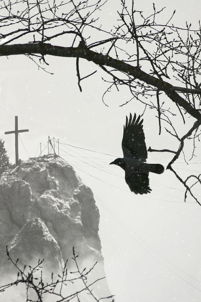 Photograph by Светлана Карнаух