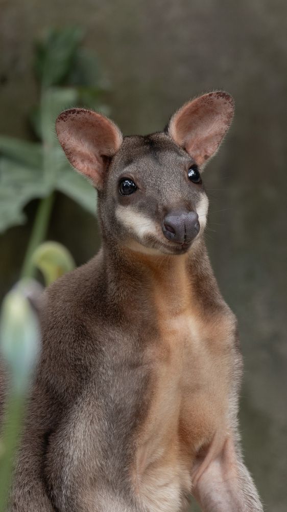 Фотография автора Ольга Трушкова