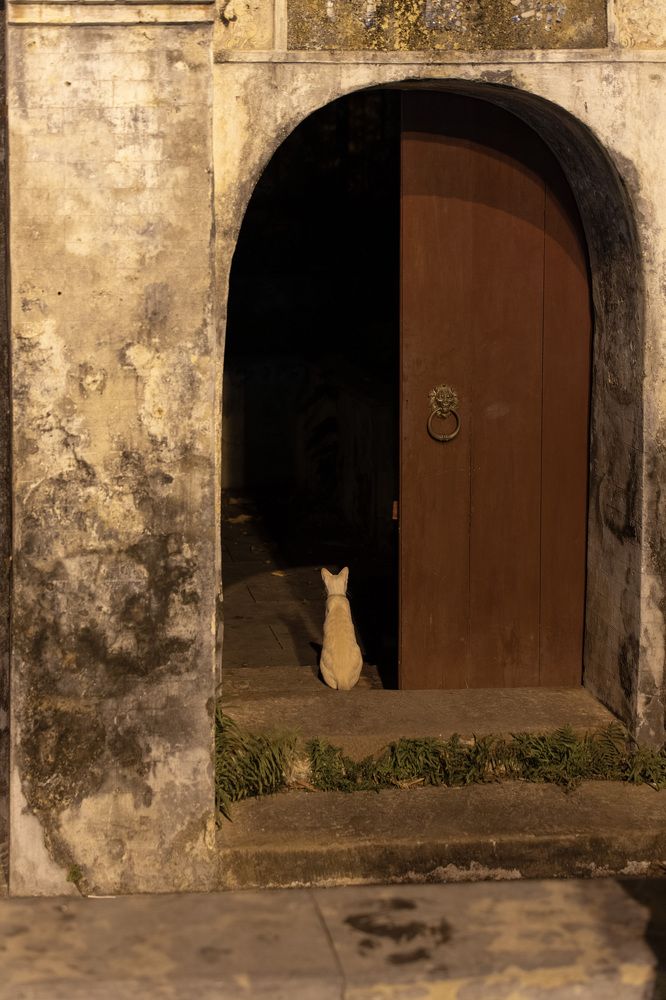 Фотография автора Светлана Зимина