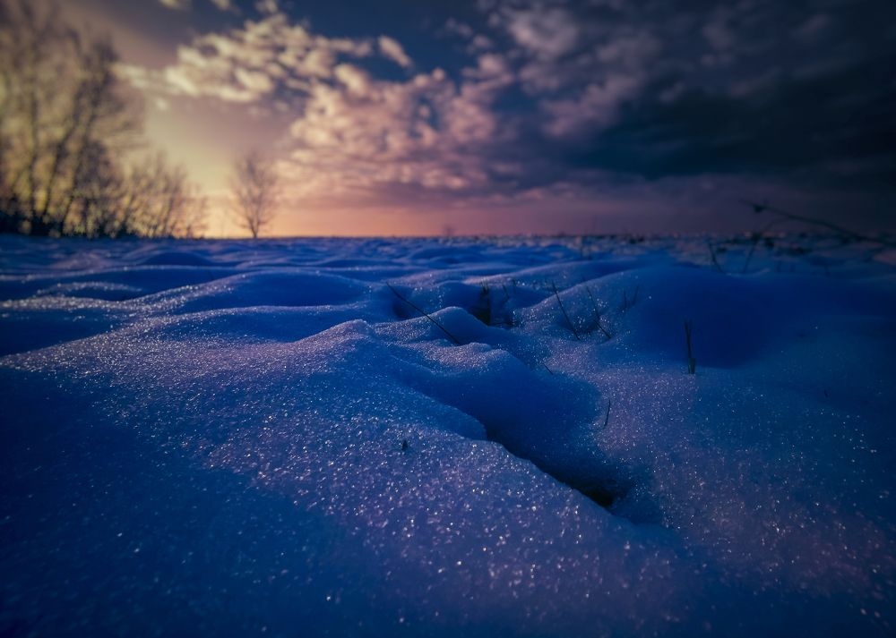 Фотография автора Nomin Jerabek