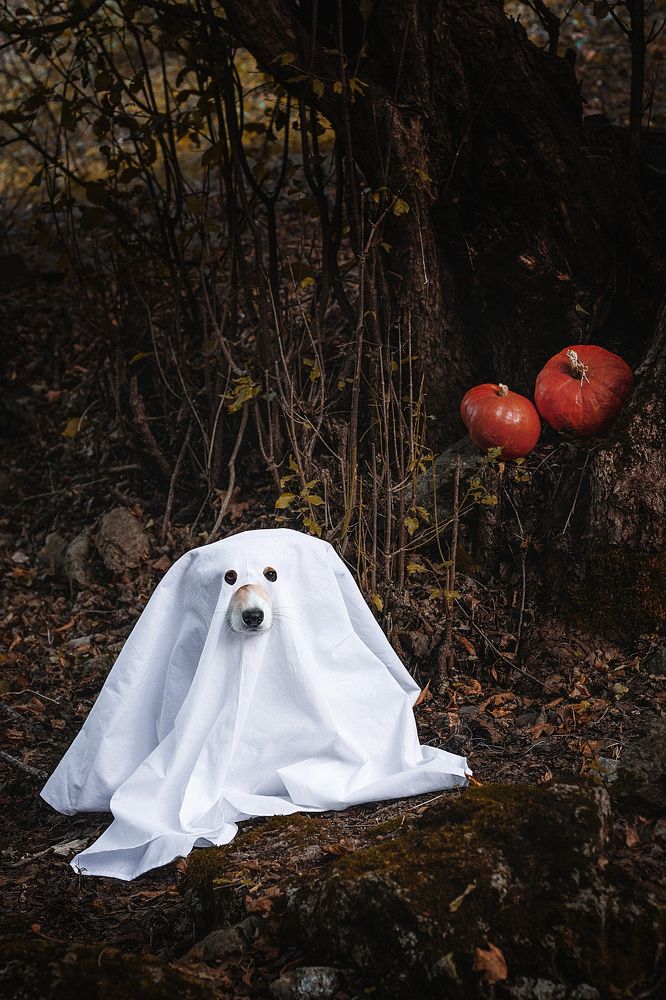 Photograph by Анна Сорокина