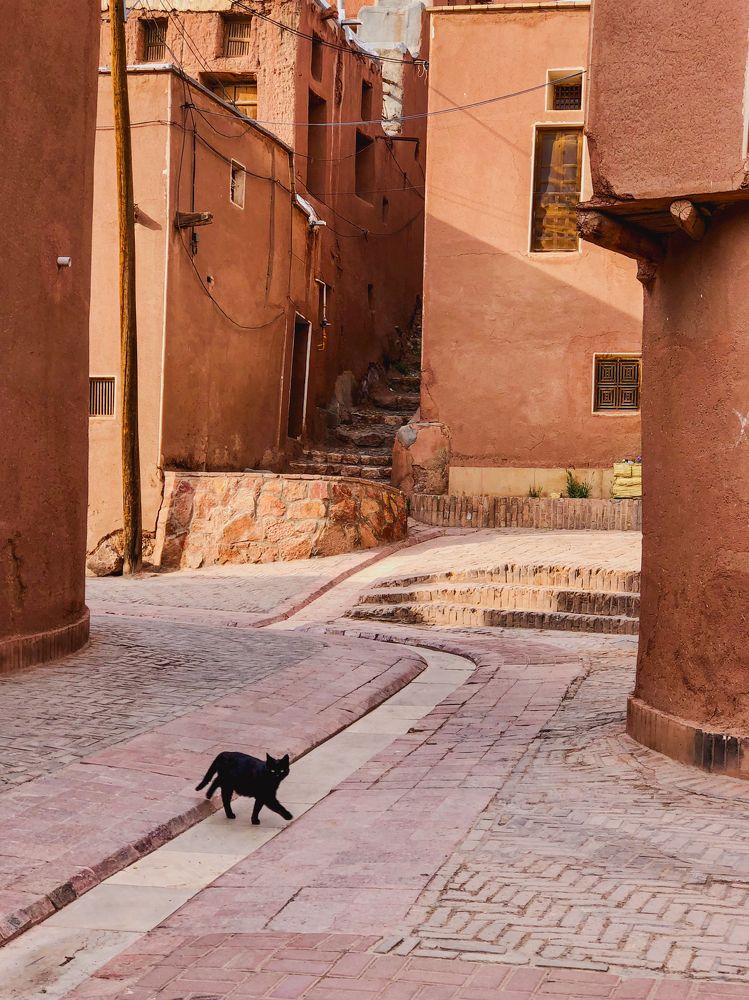 Photograph by Анна Сорокина