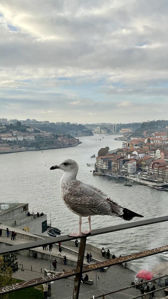 Photograph by Людмила Казак