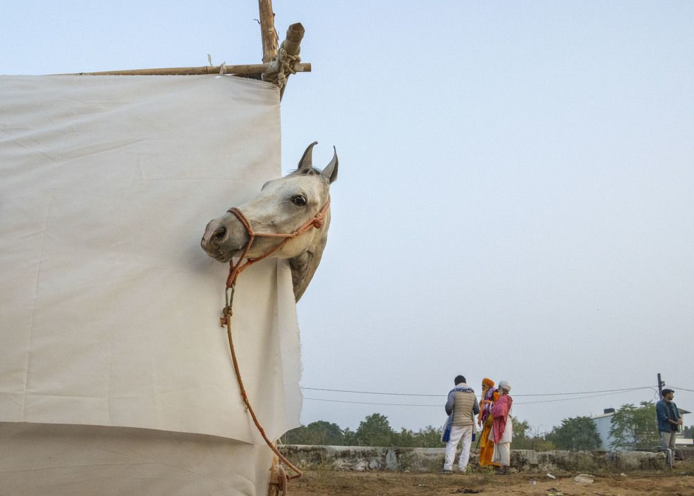 Photograph by Puspita Chowdhury