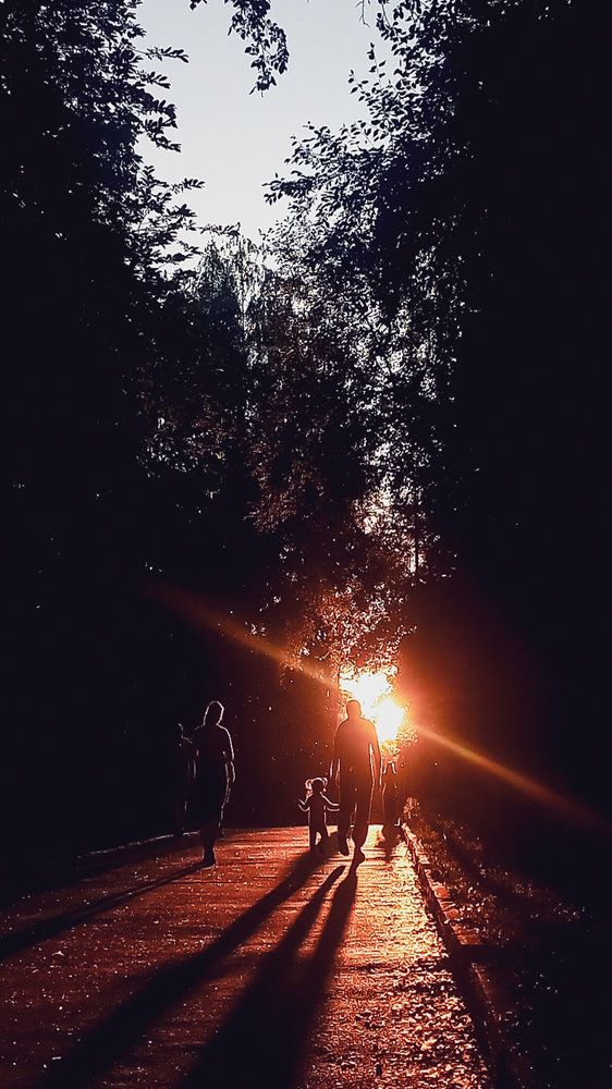 Фотография автора Анастасия Владимирова