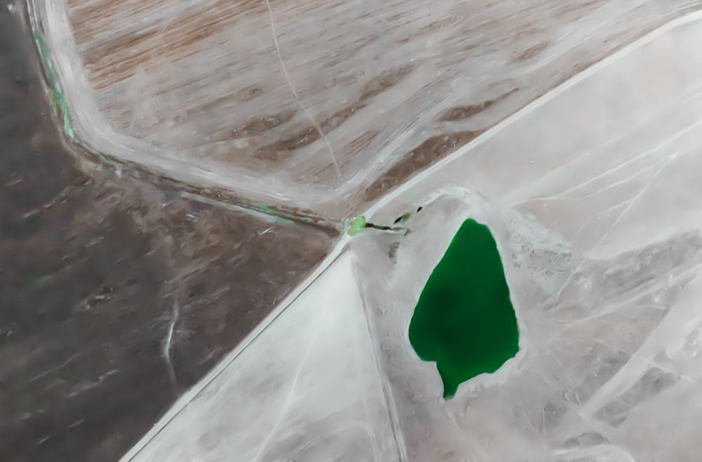 Photograph by Eric Gosse