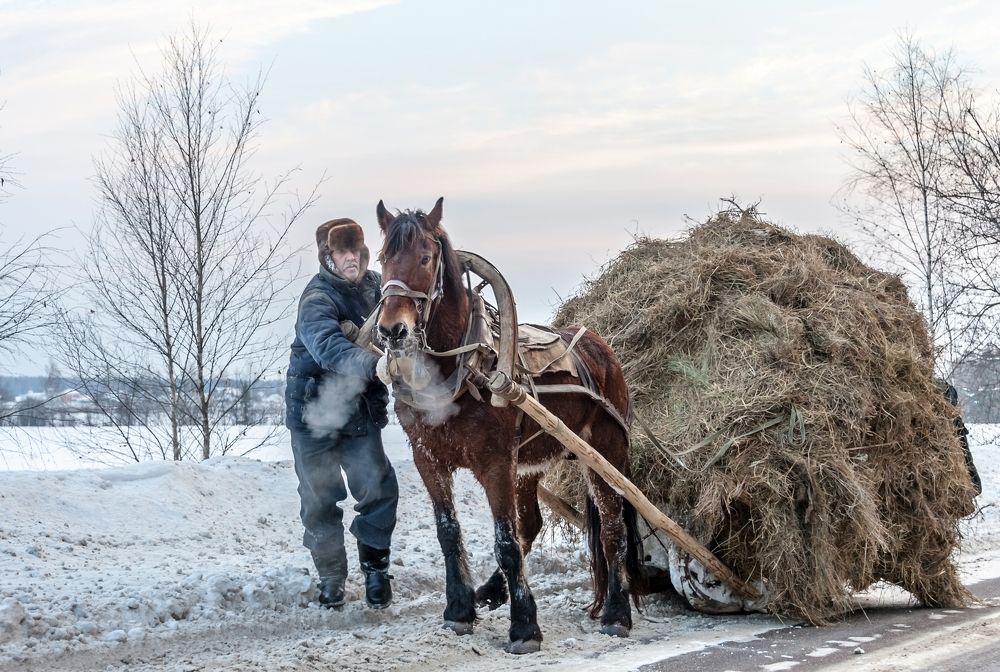 Photograph by Valery Kleymenov