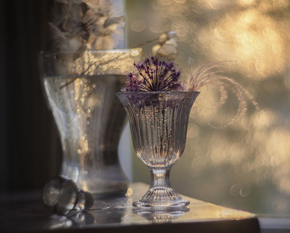 Фотография автора Ирина Шипунова