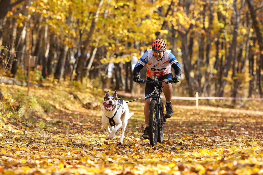 Photograph by Ольга Колобова