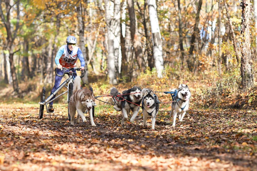 Photograph by Ольга Колобова