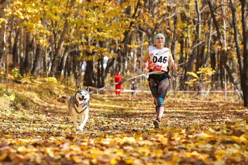 Photograph by Ольга Колобова