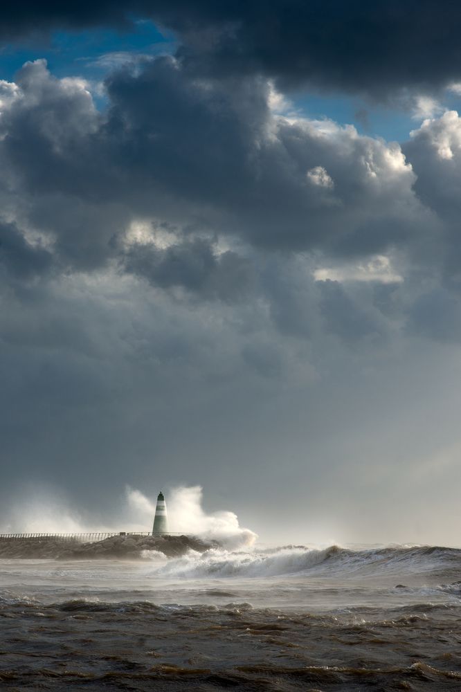 Photograph by Алина Сущинская