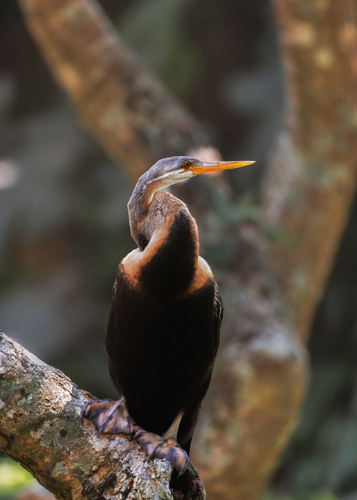 Photograph by Armen  Maitesian