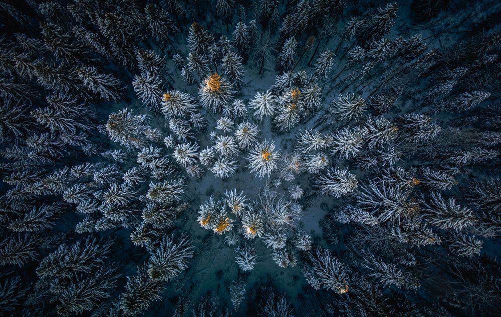 Photograph by Александр Казанцев