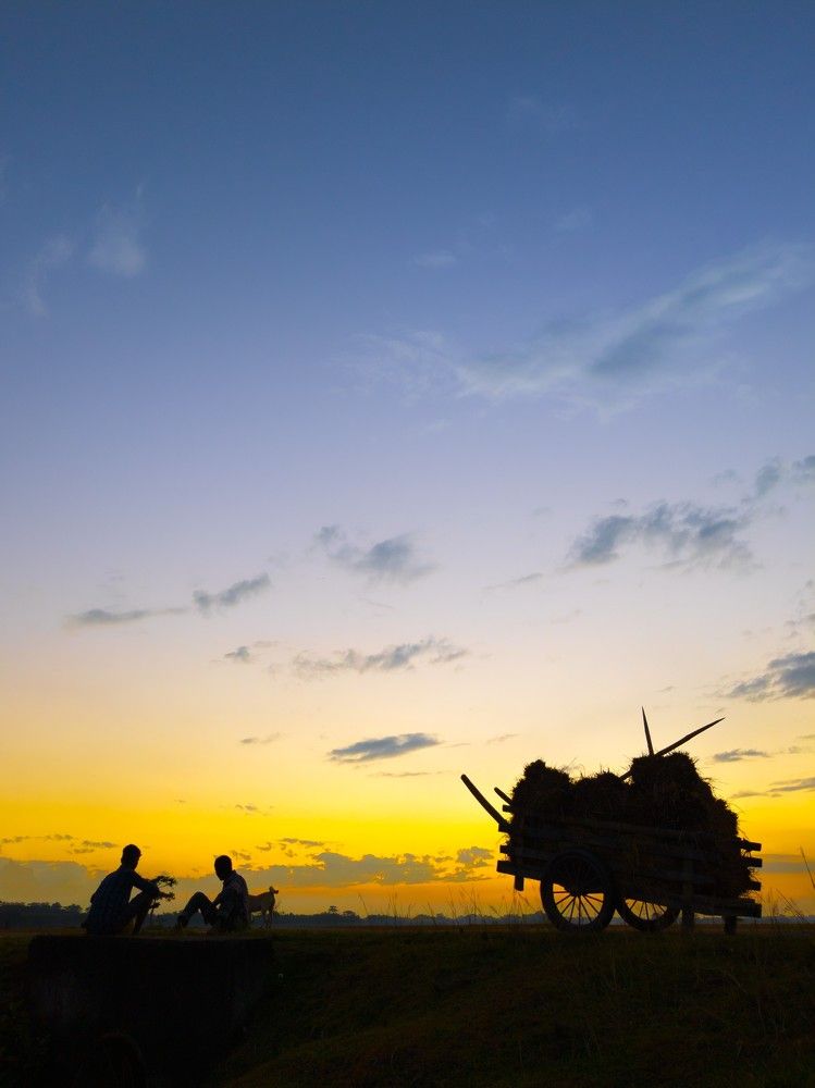 Photograph by Gyandeep Saikia