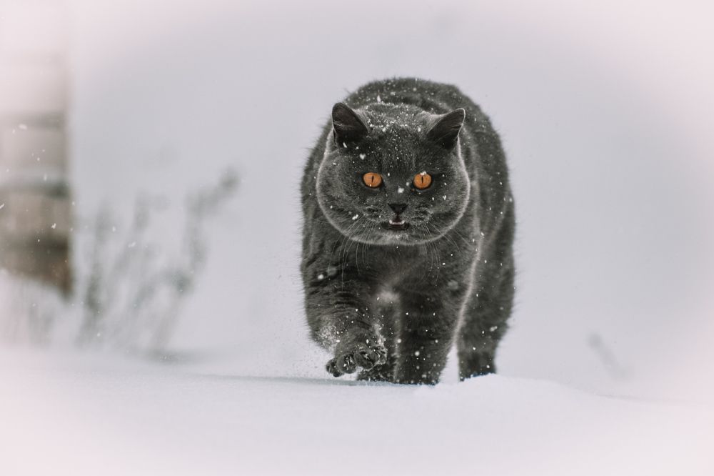 Photograph by Елена