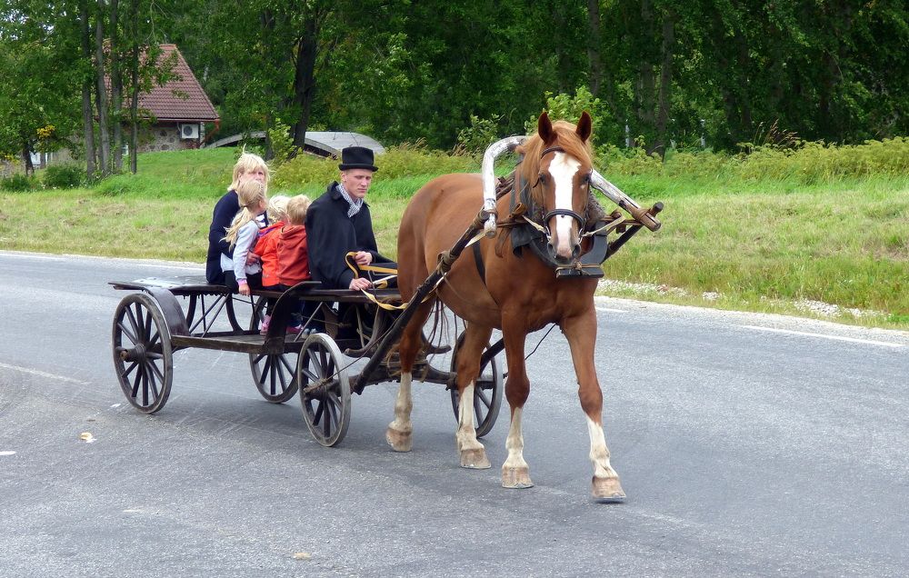 Photograph by Pjotr Alekseev