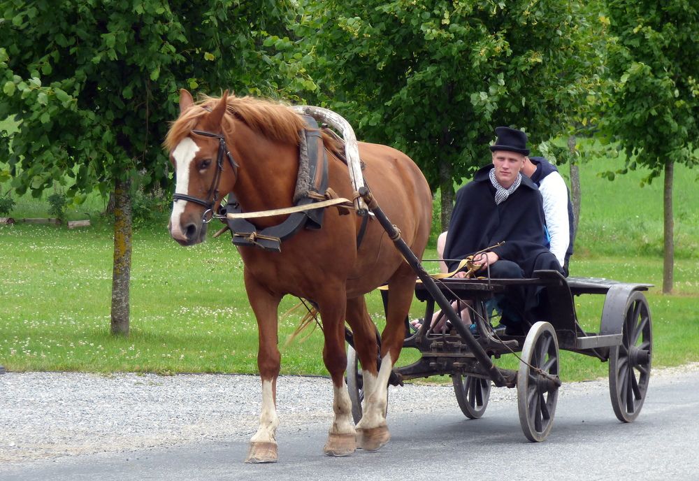 Photograph by Pjotr Alekseev