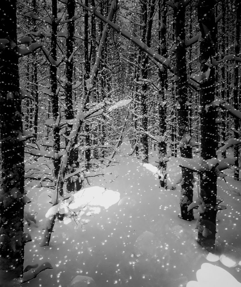 Photograph by Ольга Мартьянова