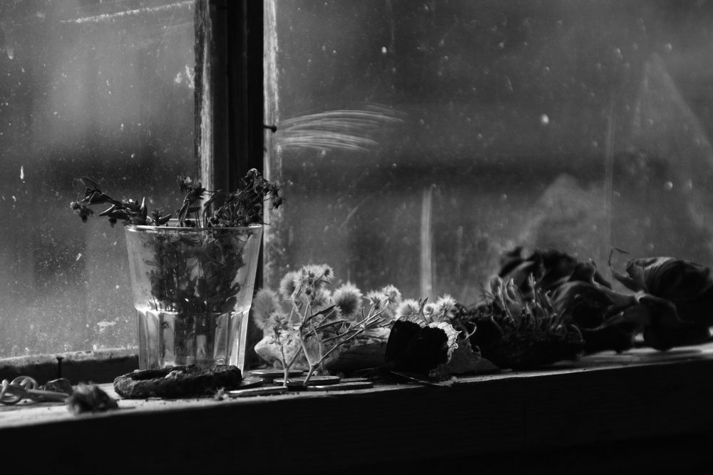 Фотография автора Анастасия Зверева