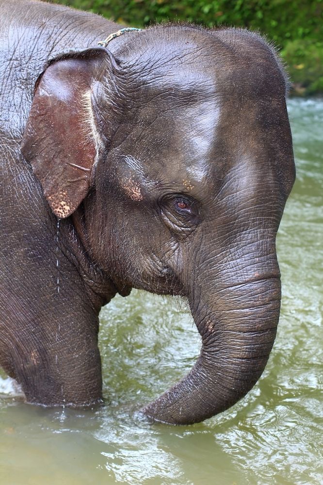 Photograph by Елена