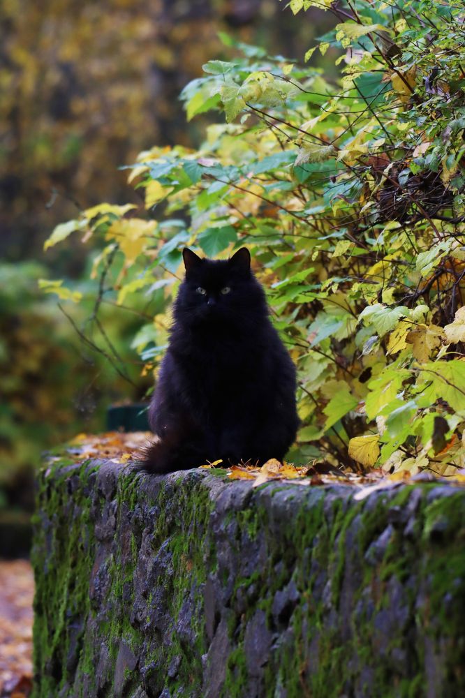 Photograph by Sergey Key