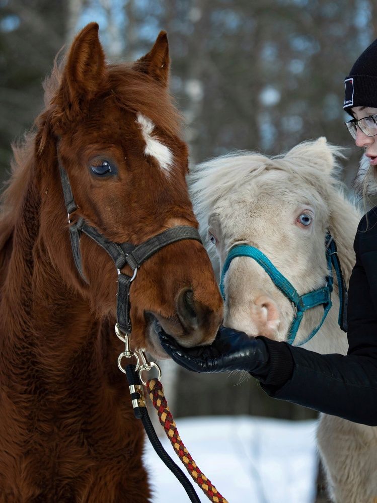 Photograph by Татьяна