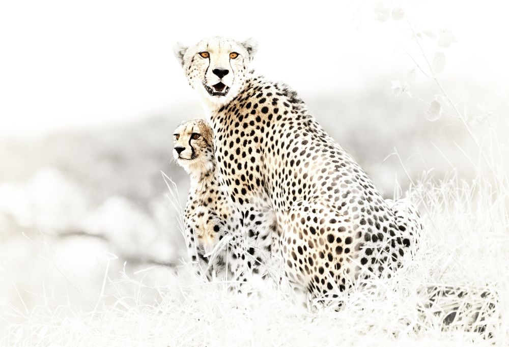 Photograph by ANDREA DUBLASKI