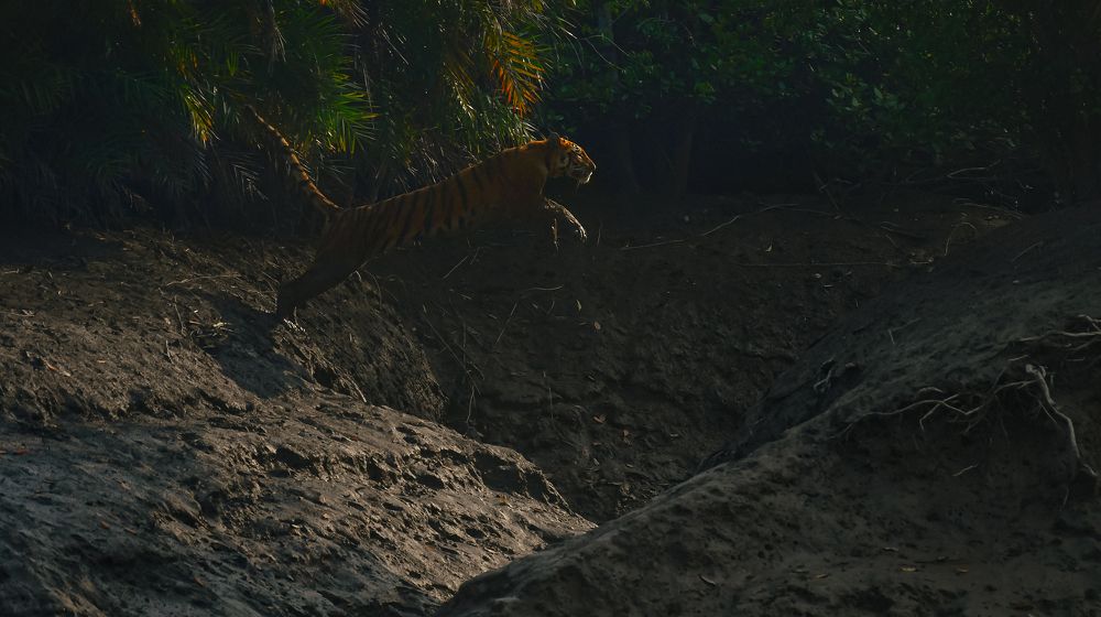 Photograph by Moumita Bhowmik