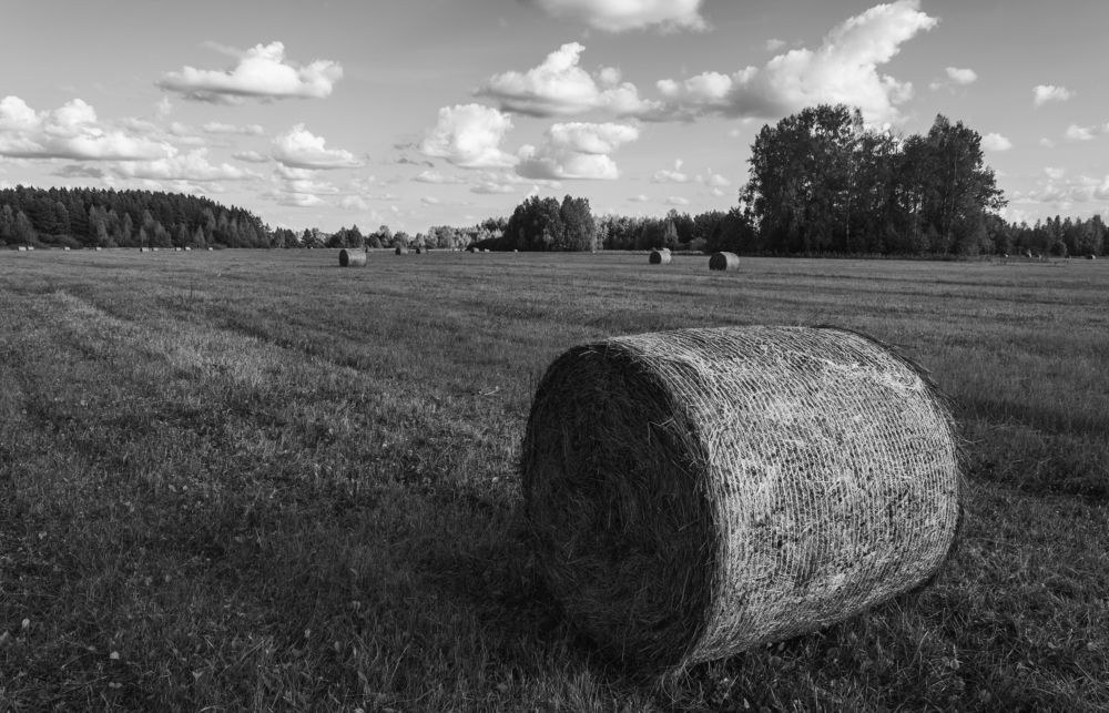 Photograph by Natalia Artamonova