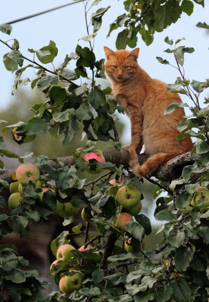 Photograph by Александра