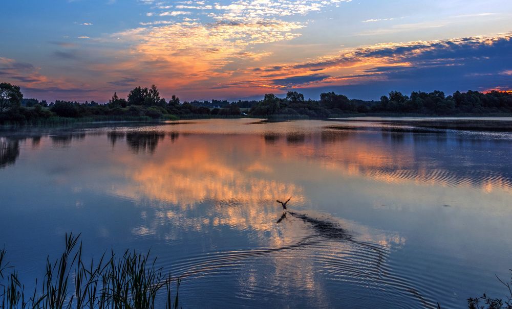 Photograph by Владимир Безбородов