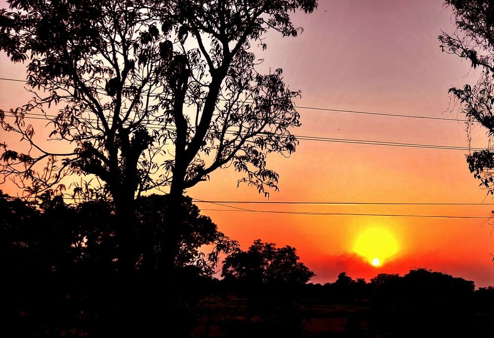Photograph by shweta dongre