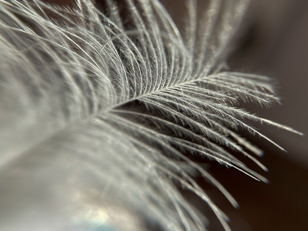 Photograph by Алия Крохалева