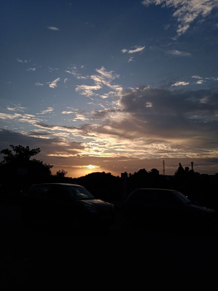 Photo #9972508
