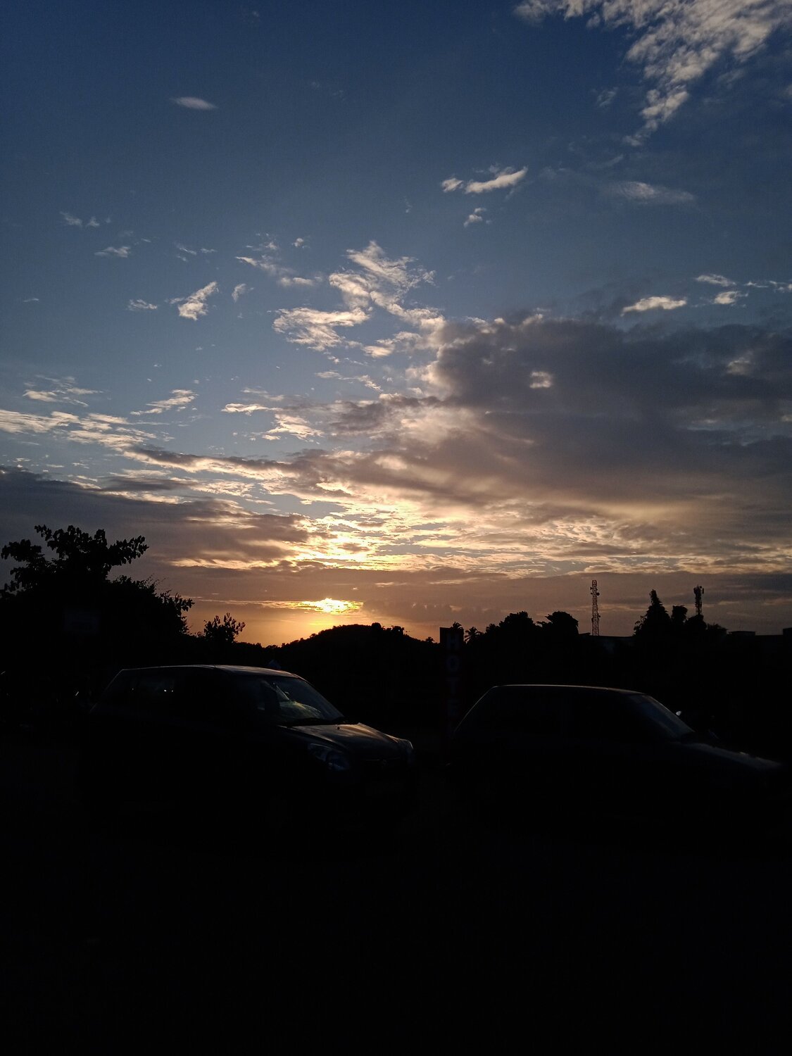 Photo #9972508