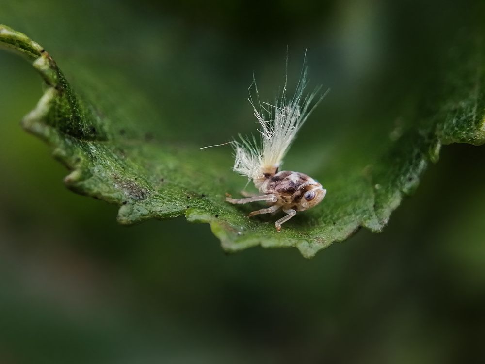 Photograph by Надежда Алешечкина